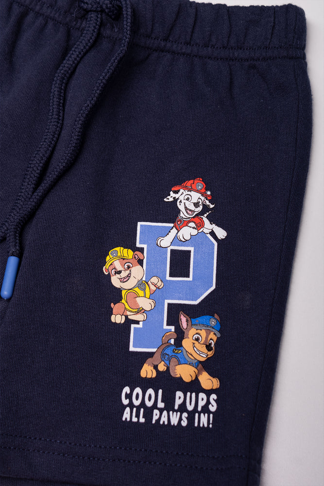 Paw Patrol Set Blue (2)