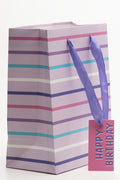 Stripe Gift Bag Multi (1)