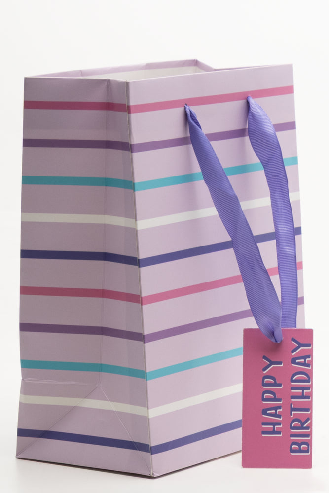 Stripe Gift Bag Multi (1)