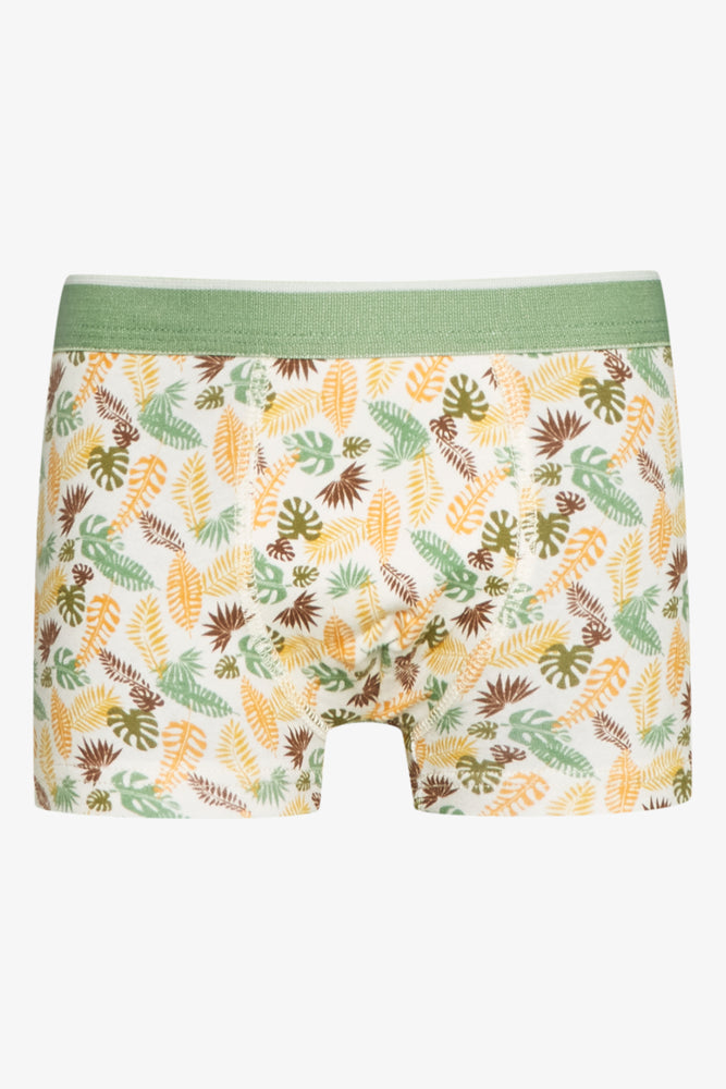 3 Pack Outdoor Boxers Green (2)