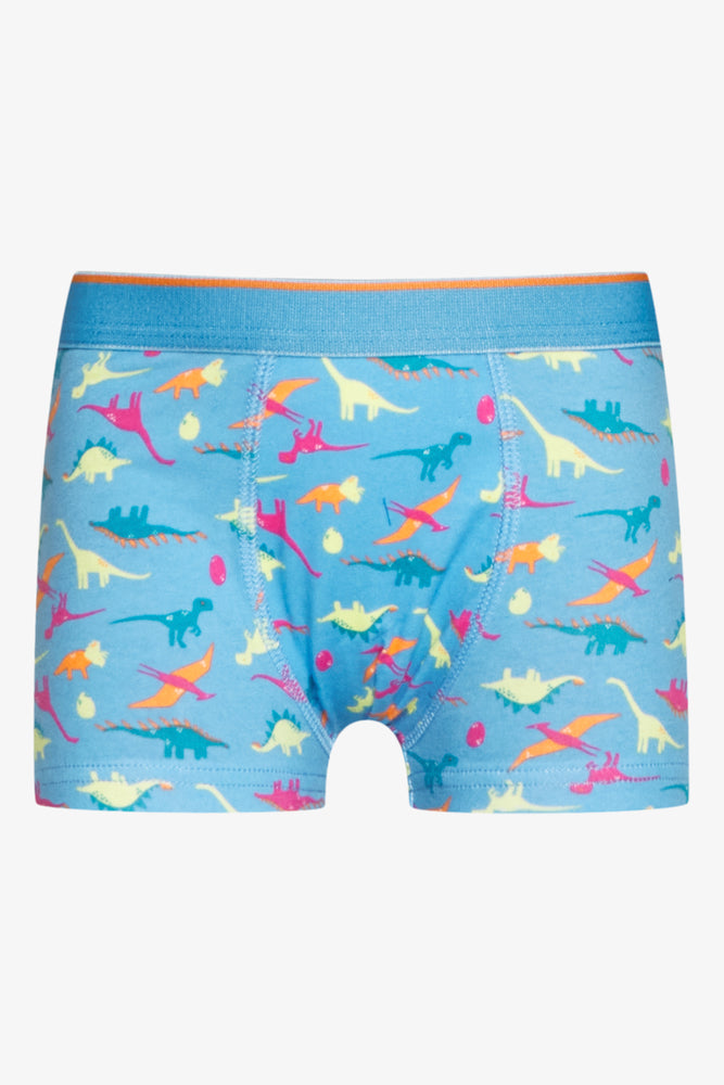 3 Pack Dinosaur Boxers Blue (2)
