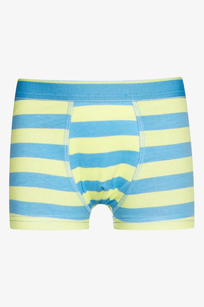 3 Pack Dinosaur Boxers Blue (3)