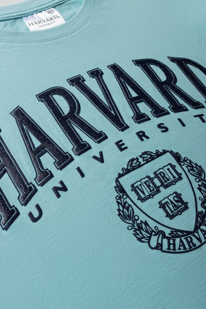Harvard Boxy Short Sleeve T-Shirt Aqua