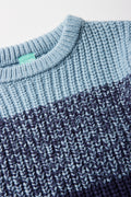 Colour Block Crew Neck Jersey Blue (1)