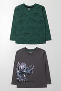 2 Pack Dinosaur Long Sleeve T-Shirt Green And Grey