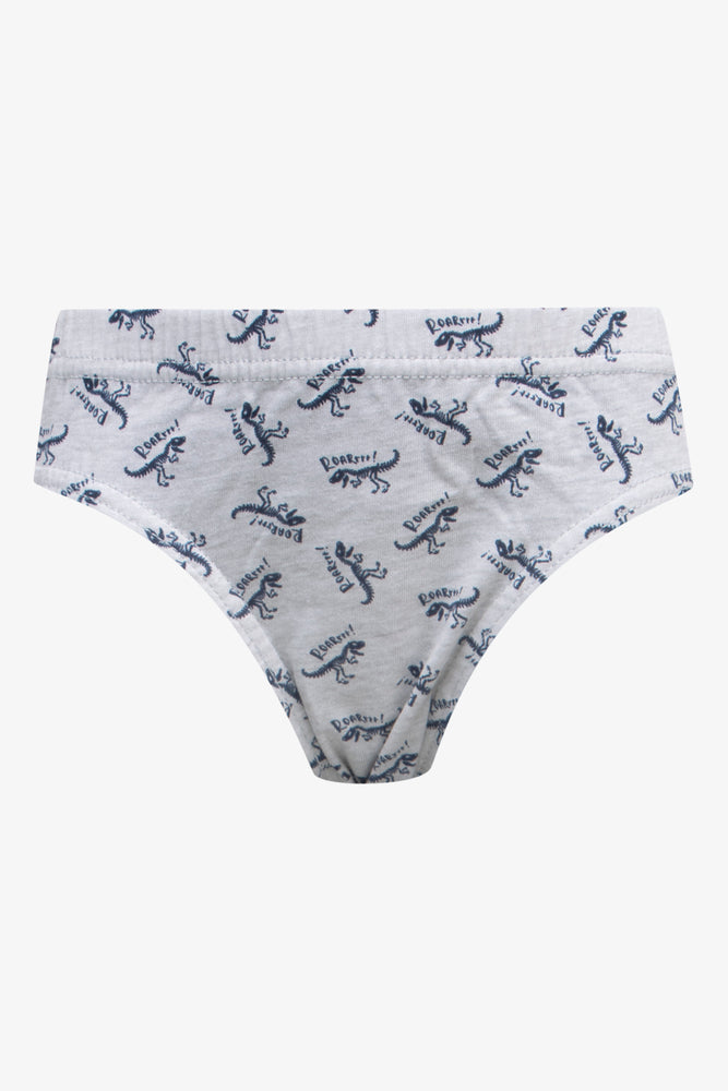 5 Pack Dinosaur Briefs Multi