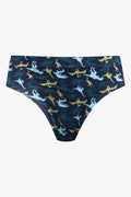 5 Pack Dinosaur Briefs Multi (3)