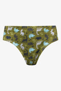 5 Pack Dinosaur Briefs Multi (4)