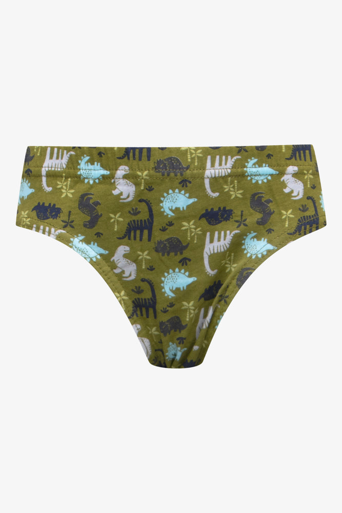 5 Pack Dinosaur Briefs Multi (4)
