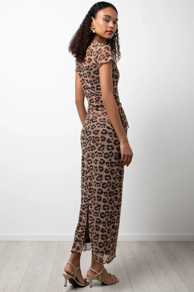 Short Sleeve Animal Print Mesh Top Brown (2)