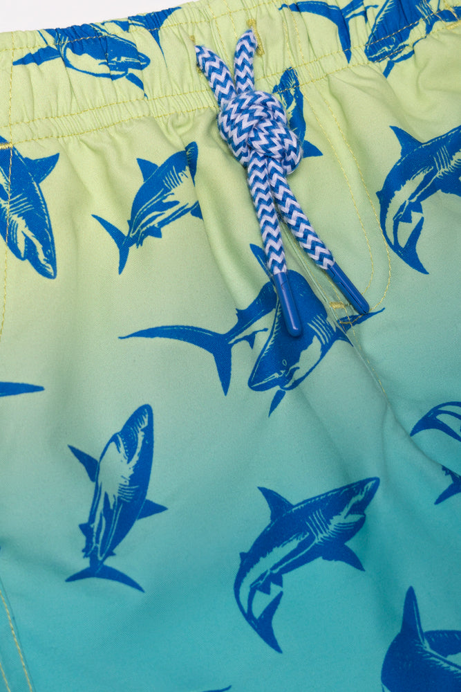 Swim Shorts Blue