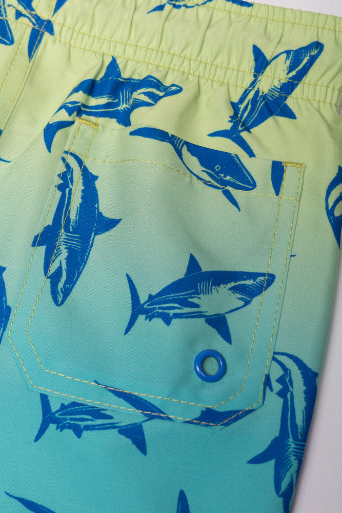 Swim Shorts Blue (2)