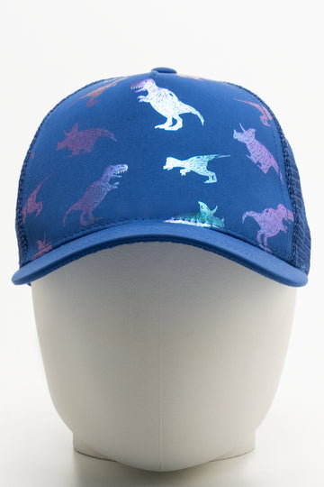 Dinosaur Peak Cap Blue