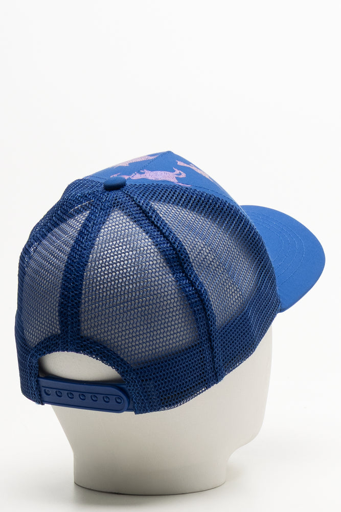 Dinosaur Peak Cap Blue (1)