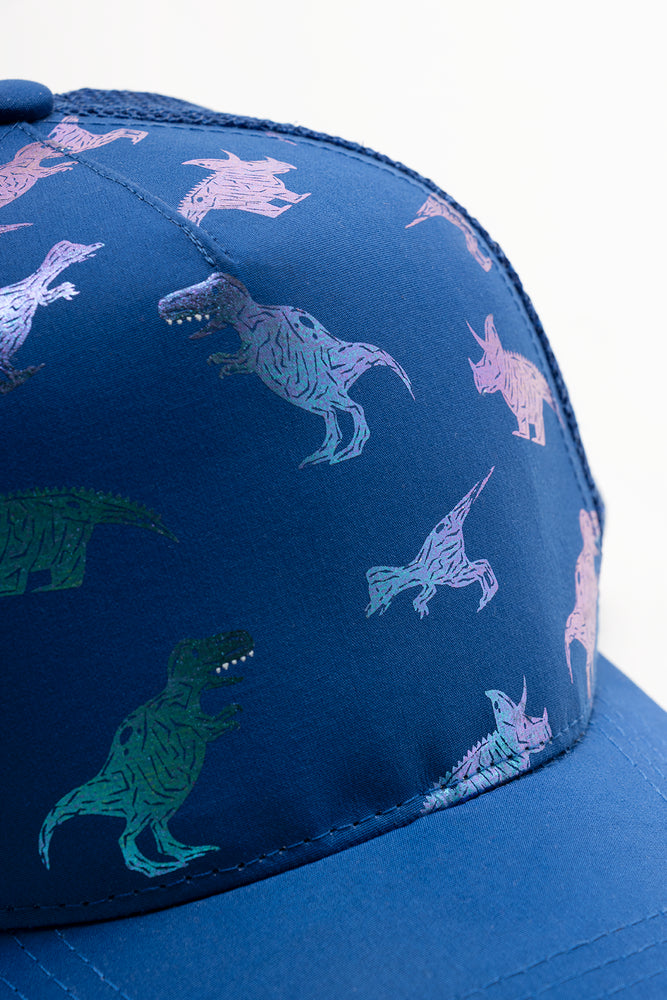 Dinosaur Peak Cap Blue (2)