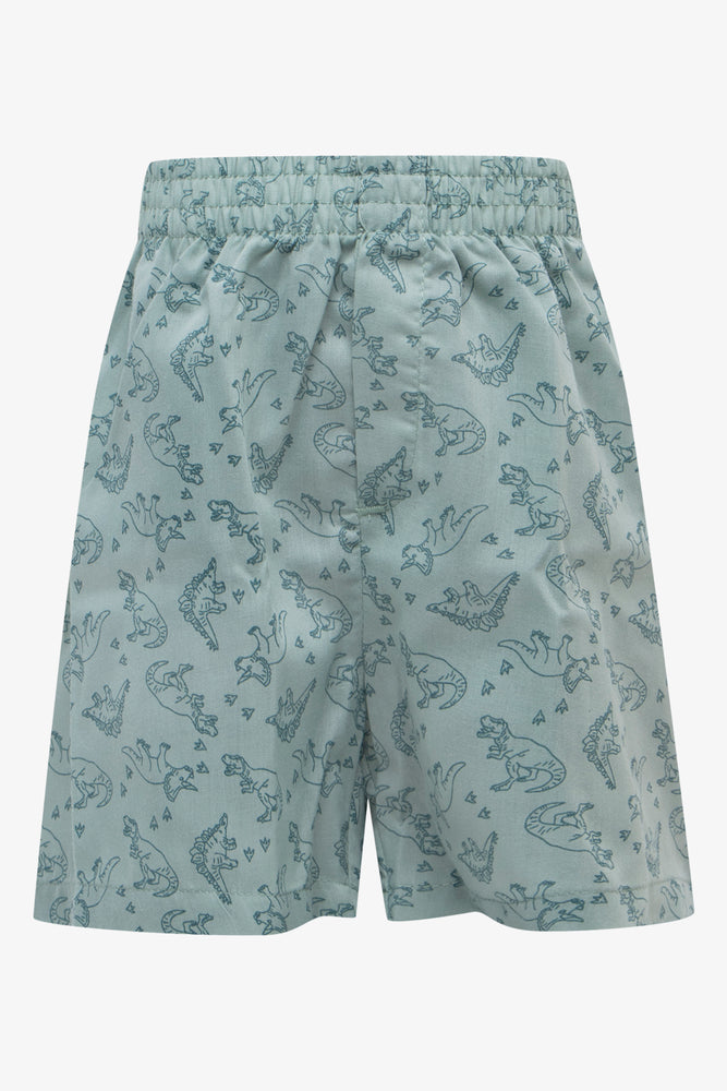 3 Pack Dino Boxers Green (1)