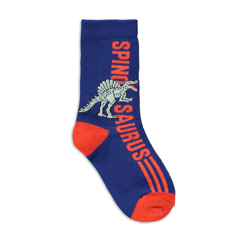 5 Pack Dino Socks Multi