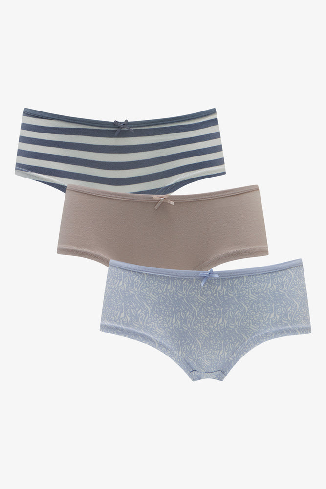 3 Pack Stripe Boylegs Blue (4)