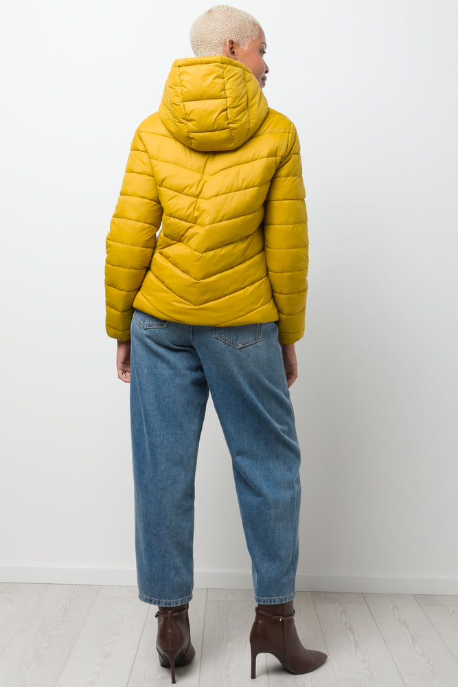 Hooded Puffer Jacket Yellow (2)