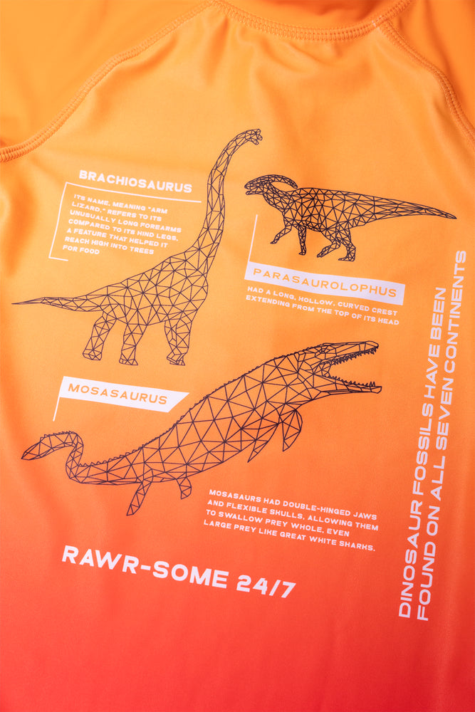 Ombre Dinosaur Swimsuit Orange