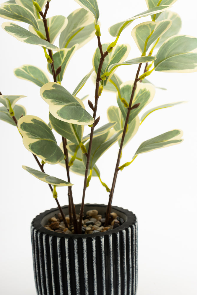 Green 2 Tone Plant 35cm (1)