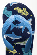 Shark Flip Flops Blue (4)