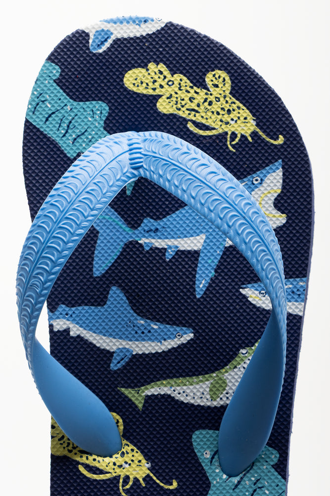 Shark Flip Flops Blue (4)