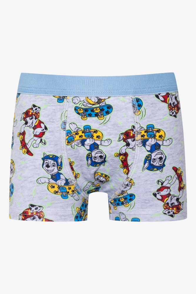 Paw Patrol 2 Pack Knit Boxers Blue And Grey (2)