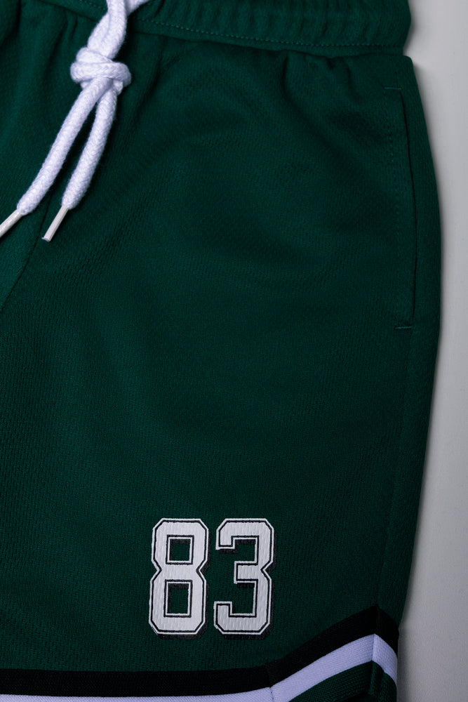 2 Piece Basketball Set Green (2)