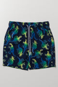 Ombre Swim Shorts Navy