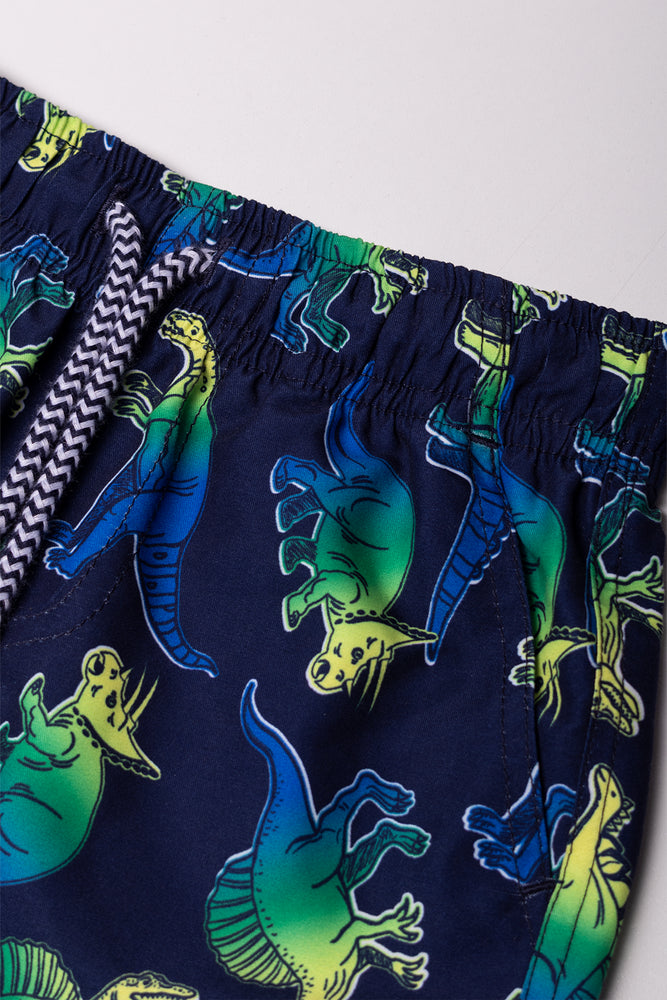 Ombre Swim Shorts Navy (1)