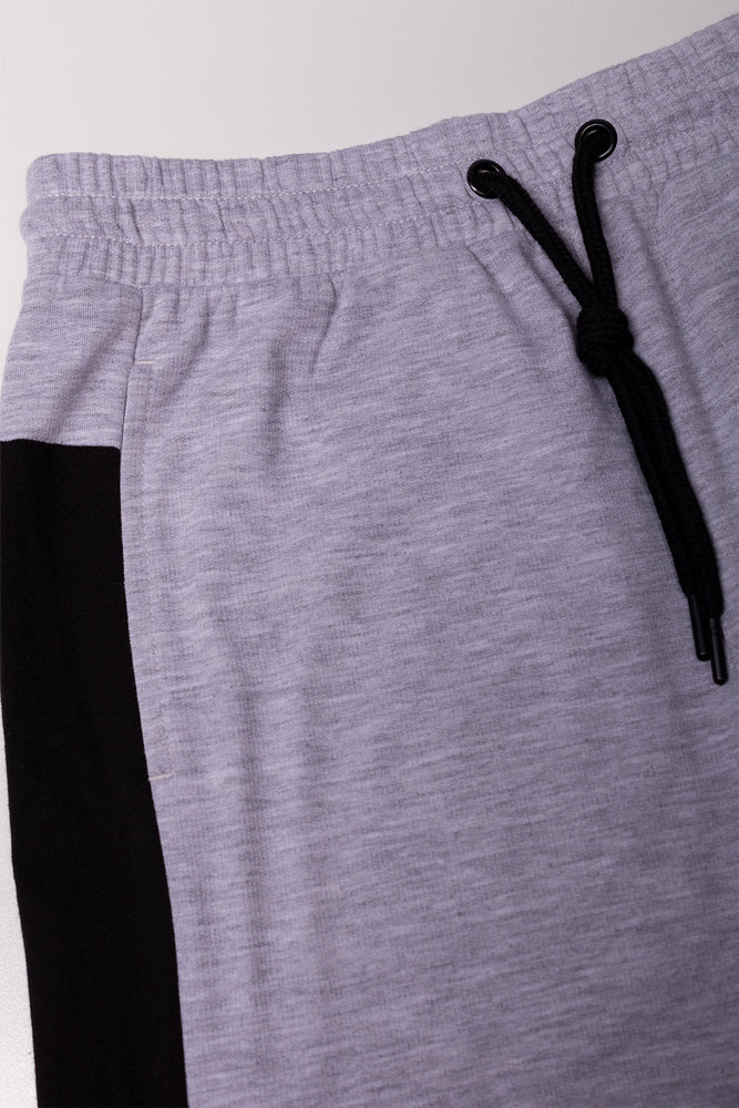 Shorts Grey