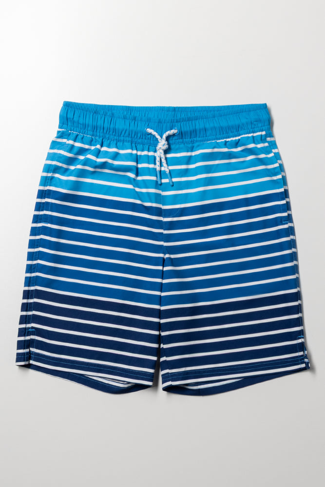 Stripe Swim Shorts Blue