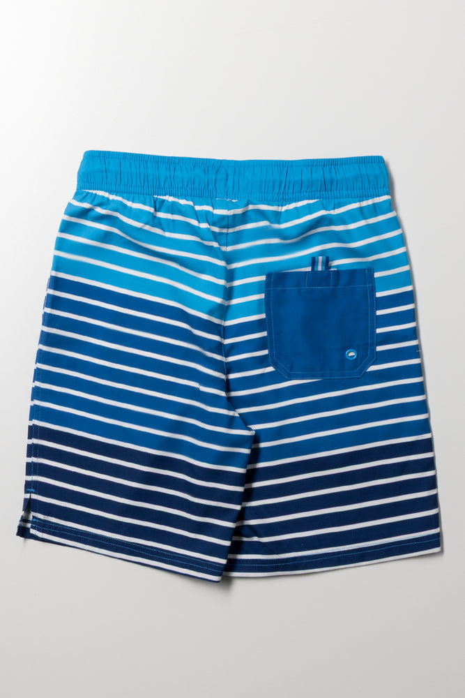 Stripe Swim Shorts Blue (3)