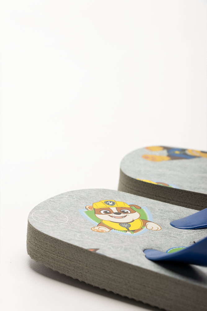 Paw Patrol Flip Flop Grey (3)