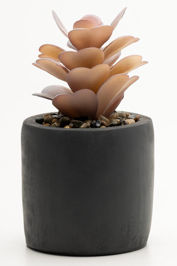 Faux Plant