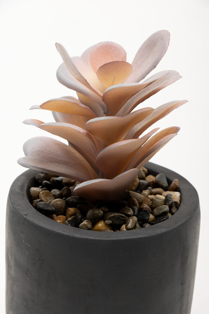 Faux Plant (1)