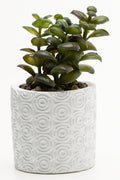 Spekbloom Faux Plant Green