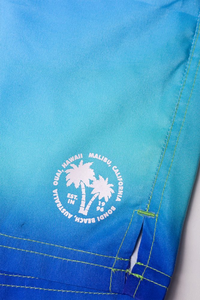 Ombre Swim Shorts Blue And Green (1)