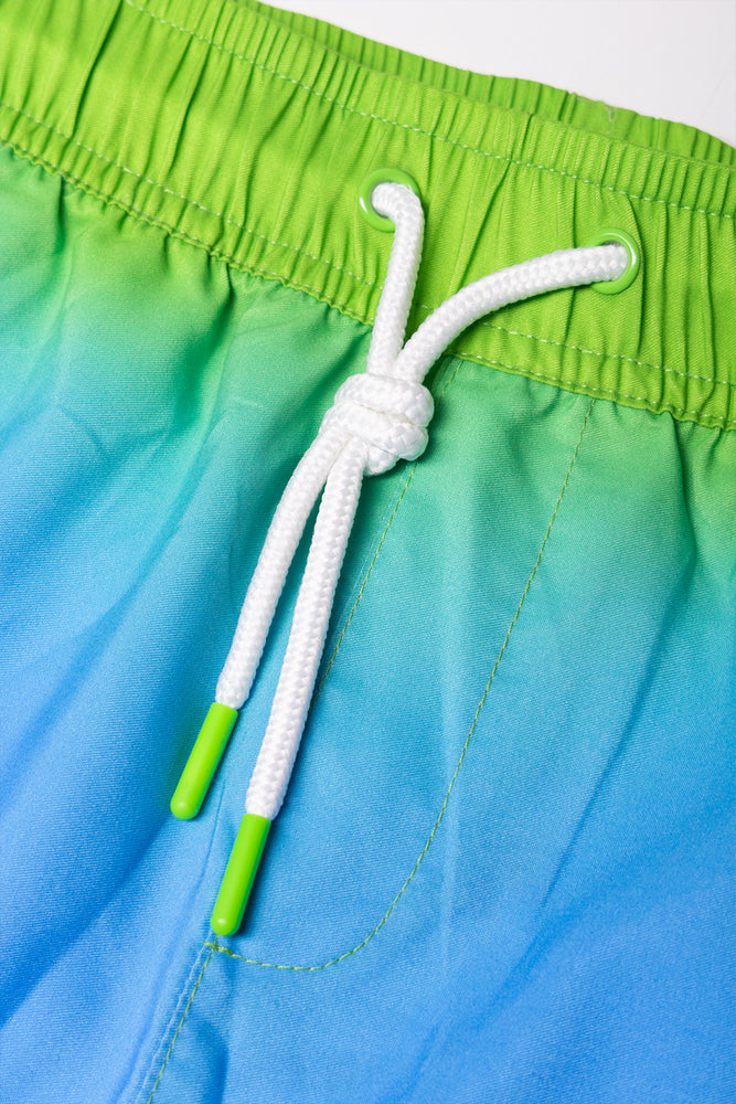 Ombre Swim Shorts Blue And Green (2)
