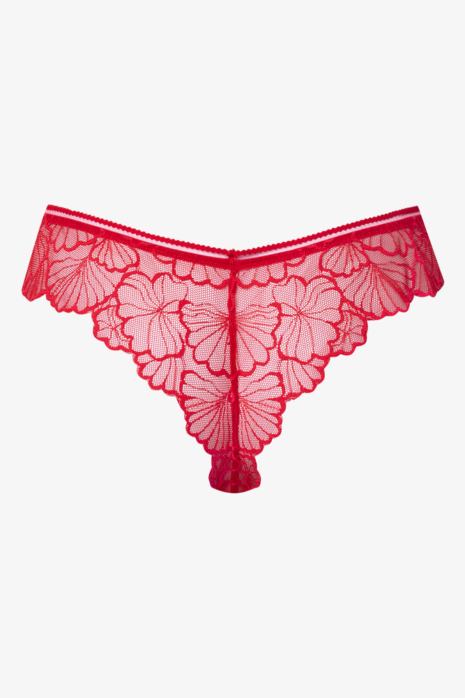 Lace Thong Red