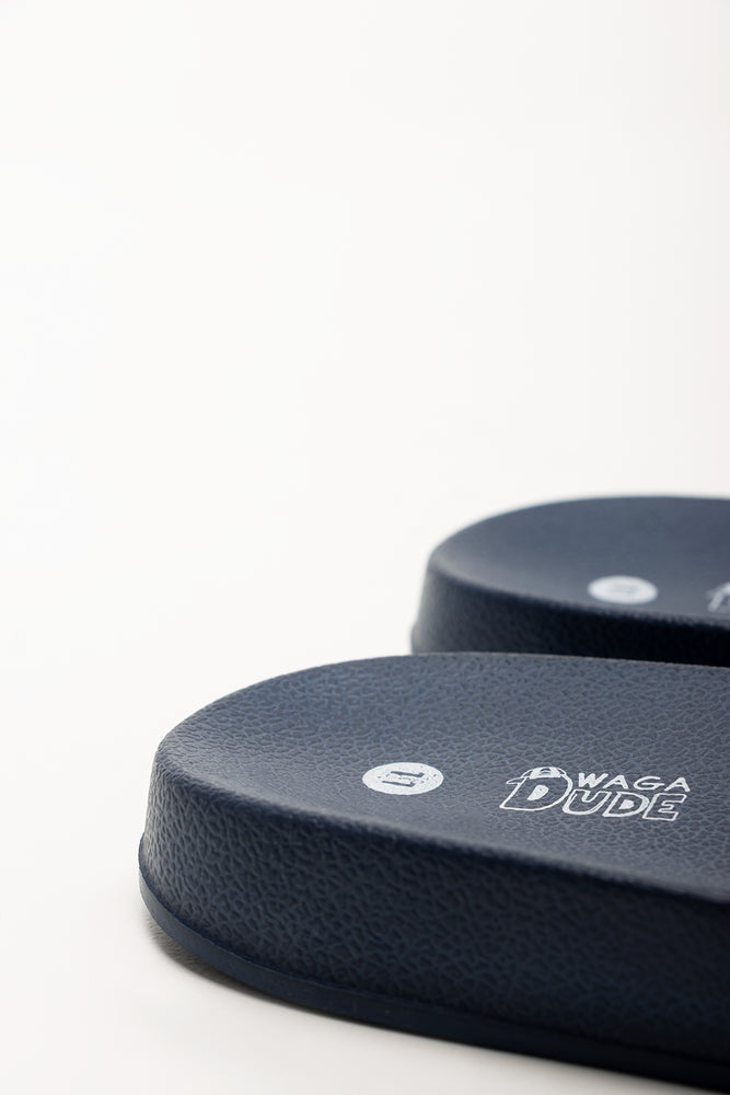 Dinosaur Slides Navy (3)