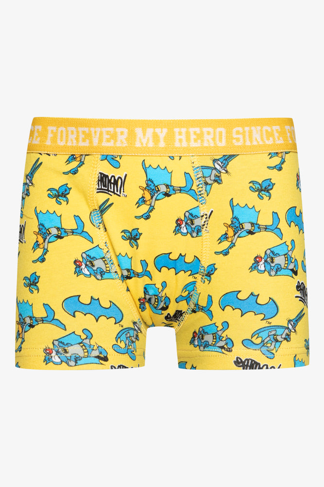 Warner Brothers 2 Pack Boxers