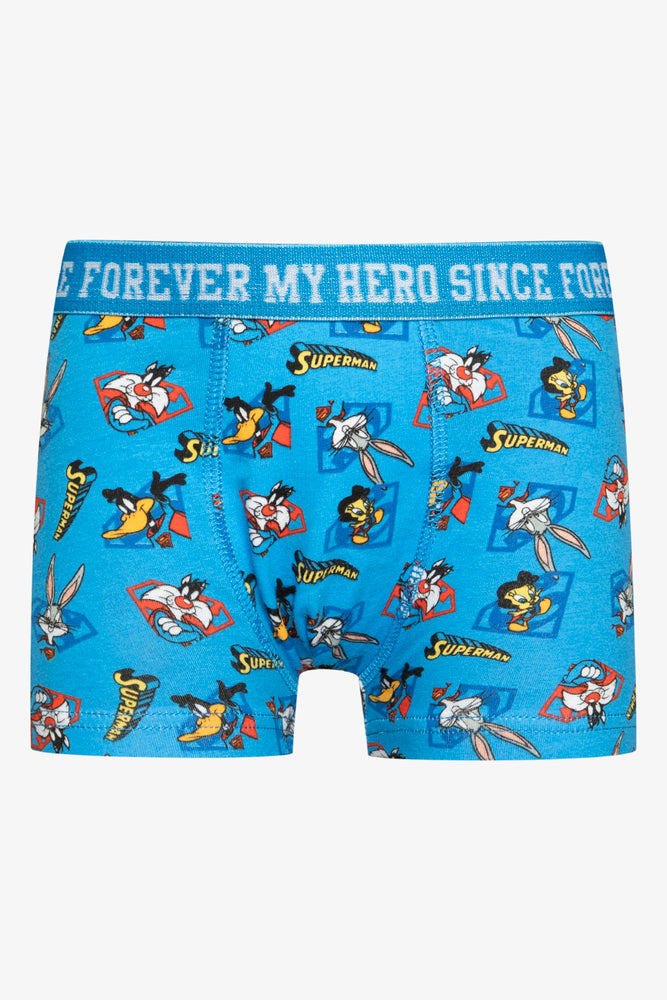 Warner Brothers 2 Pack Boxers (2)