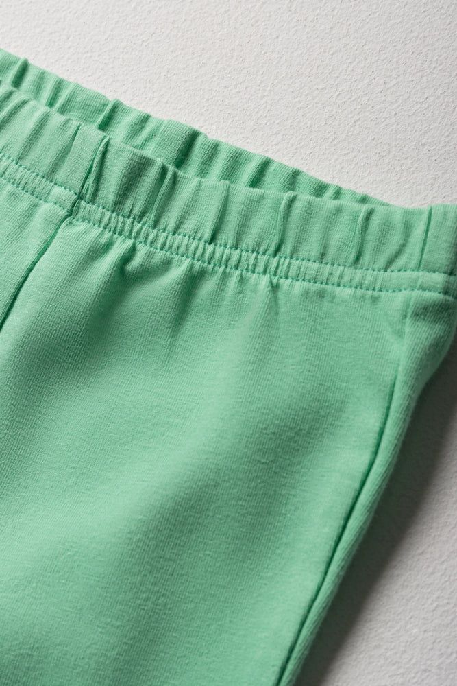 Leggings and Top Set Green (2)