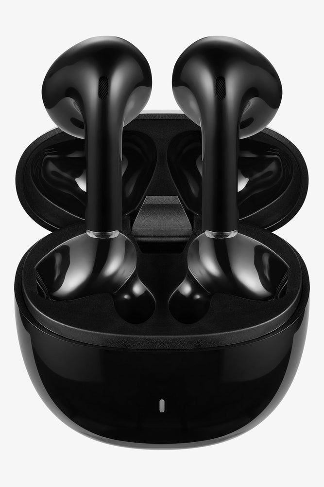 Pro Bass 2 Series Earphones Black (1)