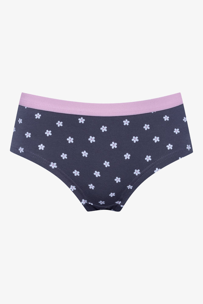 2 Pack Panties Navy And Pink (2)