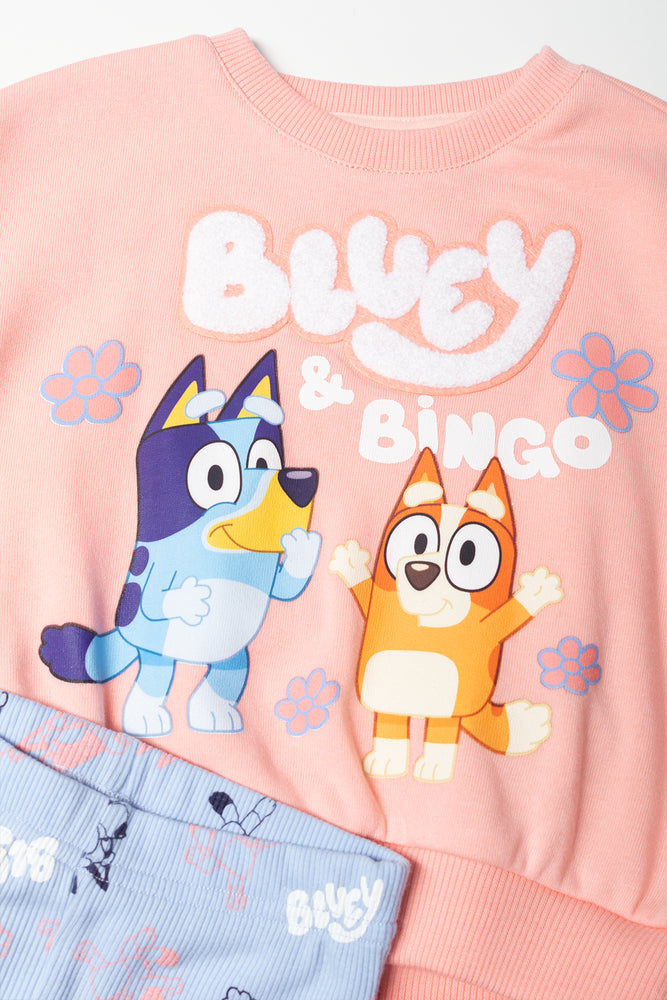 Bluey Set Pink And Blue (1)