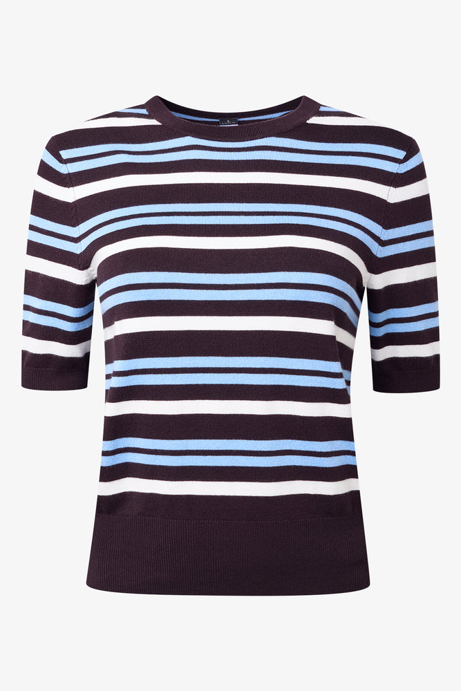 Stripe Ballerina Sleeve Top Brown And Blue