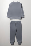 Bafana Bafana  Tracksuit Grey (2)